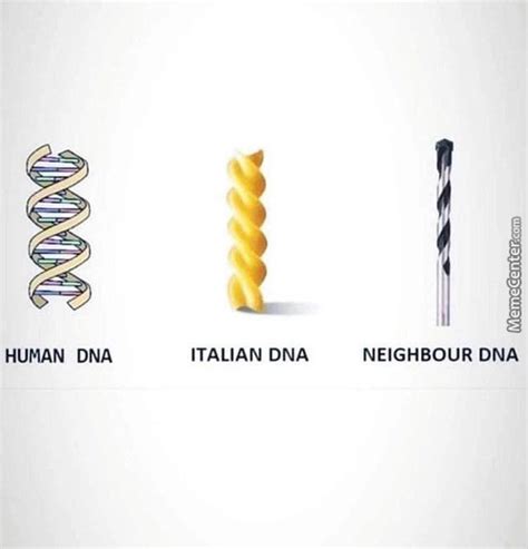 Dna Types Meme By Ahadsy5 Memedroid