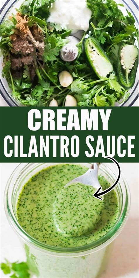 Minutes Easy Creamy Cilantro Sauce Currytrail
