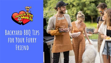 Backyard Bbq Tips For Your Furry Friend Aussie Pet Mobile