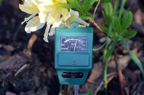 Vinegar is made up of a substance called acetic acid with some dilution. 8 Ways To Make Your Soil More Acidic (& 5 Things Not To Do)