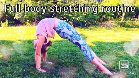 Full Body Stretching Routine Youtube