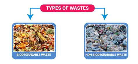 Types Of Biodegradable Waste Different Types Of Wastes My Xxx Hot Girl
