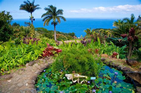 Botanical Gardens Kauai South Shore Beautiful Flower Arrangements And