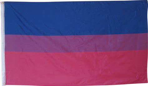 Download Bi Sexual Pride Flag Bisexual Pride Flag Png Image With No