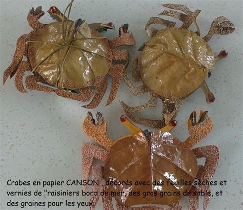 Réalisation De Crabes Avec Des éléments Naturels Mon Crabe De Coeur