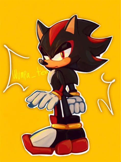 Shadow The Hedgehog Sonic The Hedgehog Shadow Pictures Sonic And