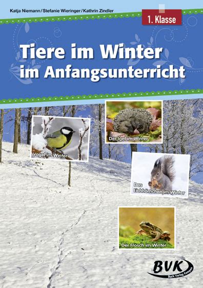 Direkt von meinem fenster aus kann ich diese lieben vögel beobachten und fotografieren! Tiere im Winter im Anfangsunterricht | | Niemann, Katja ...
