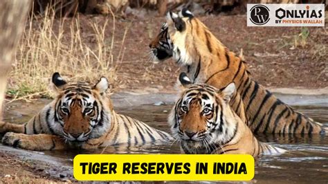 Tiger Reserves In India 2023 Listupdated Map Schemes Objectives