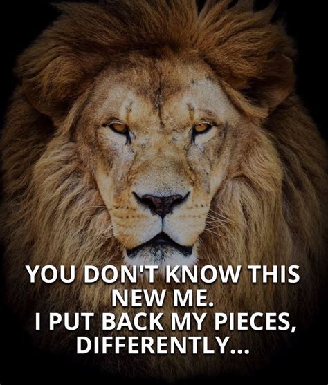 Pin By Hope Federer On Lion Lioness Quotes Lion Quotes Short