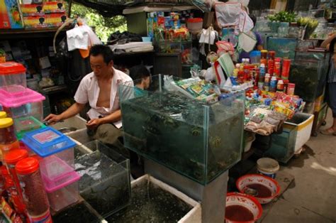 We do this with marketing and advertising partners (who may have their own information they've collected). FLOWER & FISH MARKET - Redefining Lanzhou