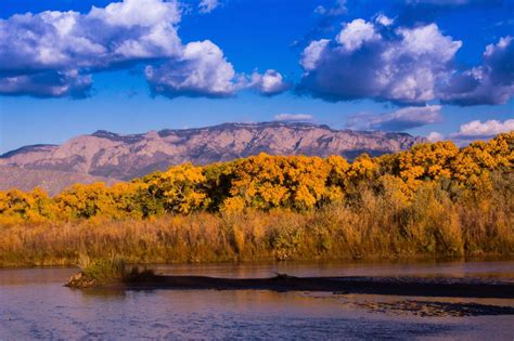 Layers Of Albuquerque Rio Grande Golden Trees Sandia Mountains And