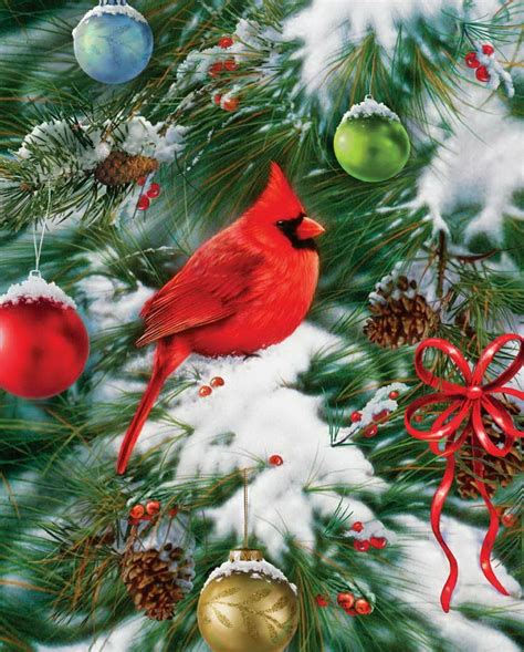 ♥ Art Greg Giordano Christmas Bird Christmas Cardinals Christmas