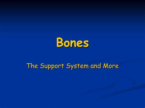 Ppt Bones Powerpoint Presentation Free Download Id465572