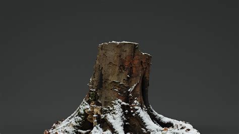 Snow Covered Tree Stump 3d Cgtrader