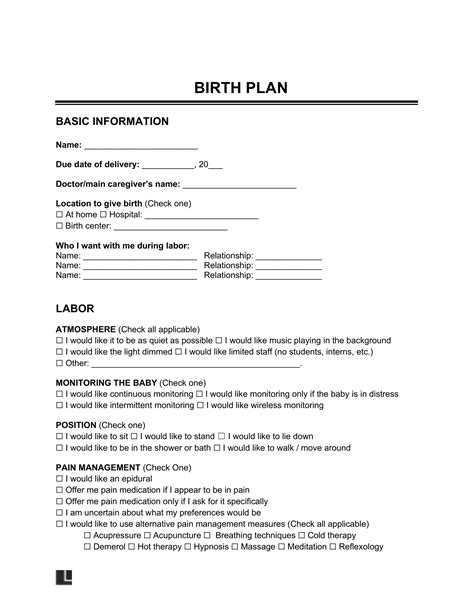 Free Birth Plan Template Pdf And Word