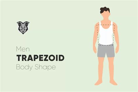 Men Trapezoid Body Shape Thefoxview