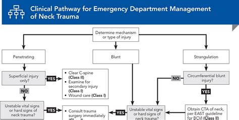 Neck Trauma Diagnosis And Management In The Emergency Department