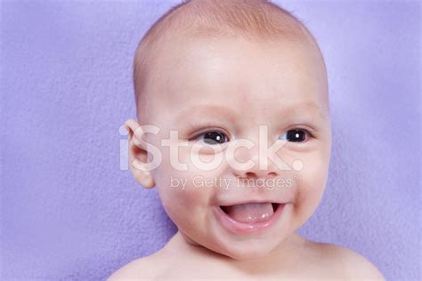 Happy Baby Boy Stock Photo Royalty Free Freeimages