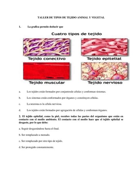 Taller De Tipos De Tejidos De Los Seres Vivos Apuntes De Biología