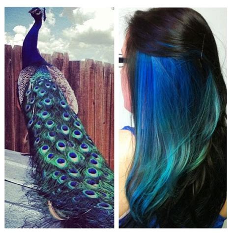 2, can be used several times according to your required amount. Peacock Ombre | Hair Colors | Pinterest | Beautiful, My ...