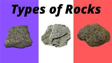 Sedimentary Rock Types List