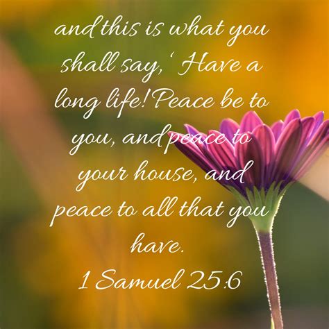 Peace To You Amplified Bible Bible Apps Bible Versions