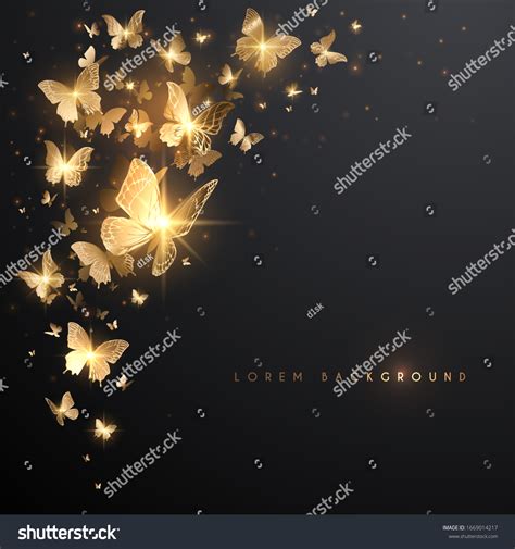 Gold Butterflies Light Effect On Black Stock Vector Royalty Free