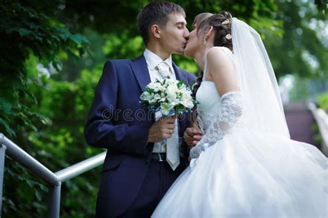 Bride And Groom Are Kissing Stock Image Image Of Girl Romance 54114511