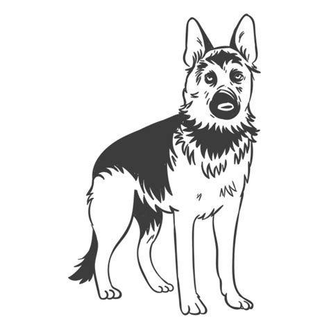 German Shepherd Standing Hand Drawn Transparent Png And Svg Vector File