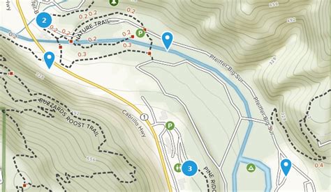 Best Hiking Trails In Pfeiffer Big Sur State Park Alltrails