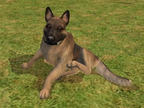Mod The Sims In Memory Of Syra My Own German Shepherd