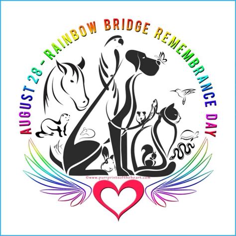 Will I Meet My Cats On The Rainbow Bridge Paws Catosphere For Cat Lovers