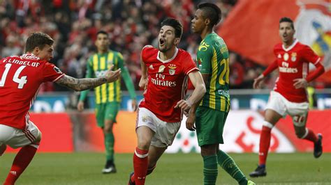 Benfica vs Tondela Preview, Tips and Odds - Sportingpedia - Latest