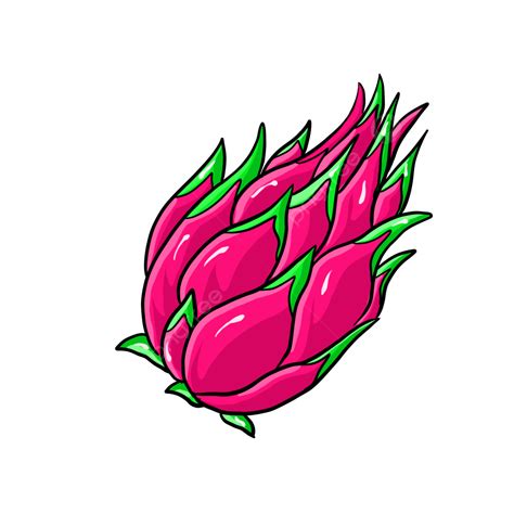 Fresh Fruit Clipart Transparent Png Hd Small Fresh Dragon Fruit Outing