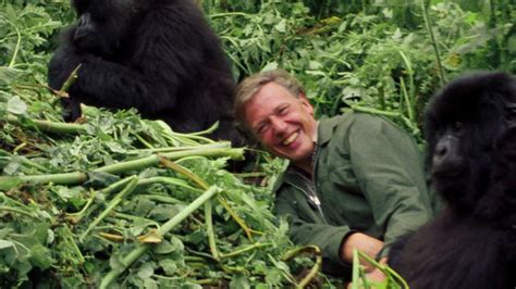 Us David Attenborough A Life On Our Planet 2020 A Broadcaster