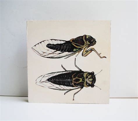 Cicada Painting Original Art Fathers Day Gift For Him Entomologist Naturalist Insect Art