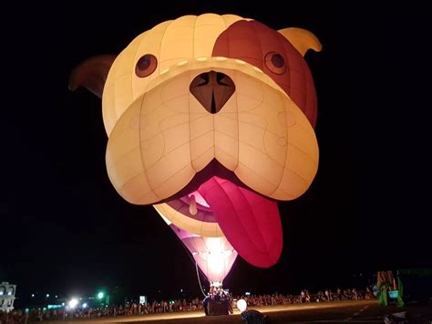 all the special shapes at the 2018 bristol balloon fiesta bristol live