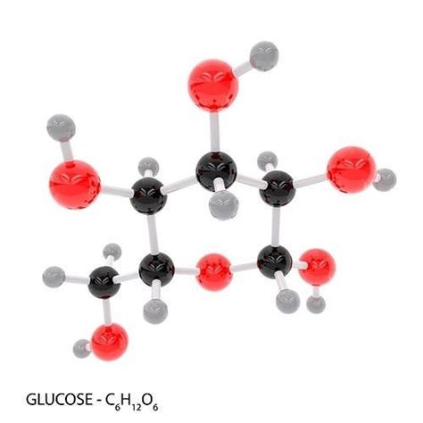 Glucose Molecule 3d Model Cgtrader