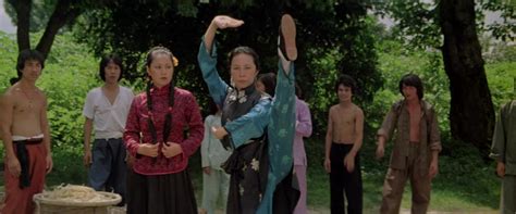 Powered by strong wine, he uses his intoxication to reach a state where his ki is more potent, if somewhat fleeting. Drunken Master (1978) Download YIFY Movie Torrent - YTS