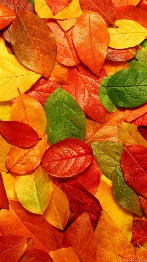 Download Wallpapers 3840x2400 Foliage Leaves Surface Autumn