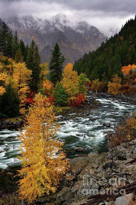 Fall Colors Surround The Wenatchee River As It Flows Through The