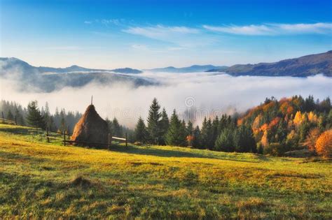 Foggy Morning In The Carpathian Mountains Stock Image Image Of Plant
