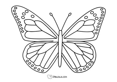 Mariposa De Grandes Alas Dibujo 2126 Dibujalia Dibujos Para