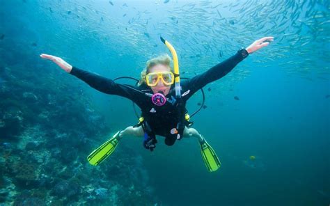 6 Tips For Making A Good Dive Great Diving Scuba Diving Magazine