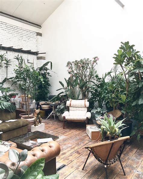 9 Top Houseplant Instagram Feeds Blog At Thompson And Morgan