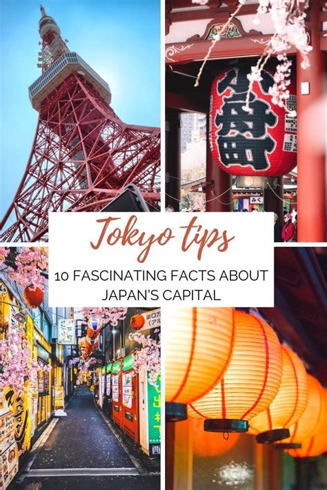 Tokyo Travel Tips 10 Fascinating Facts About Japans Capital Japan