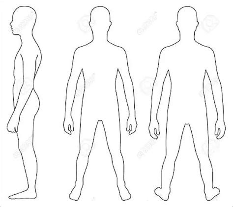 Blank Anatomical Position Human Body Diagram