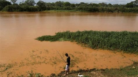 Brazil Dam Breach Toxic Mud Devastated Vegetation Bbc News
