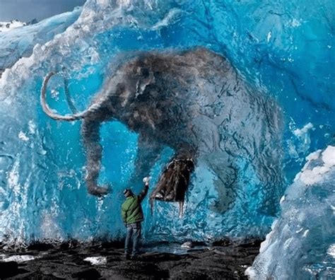 23 Amazing Scientific Discoveries Found Trapped In Ice Unbelievable
