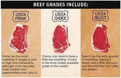 About USDA Grading Bunzel S Meat Market